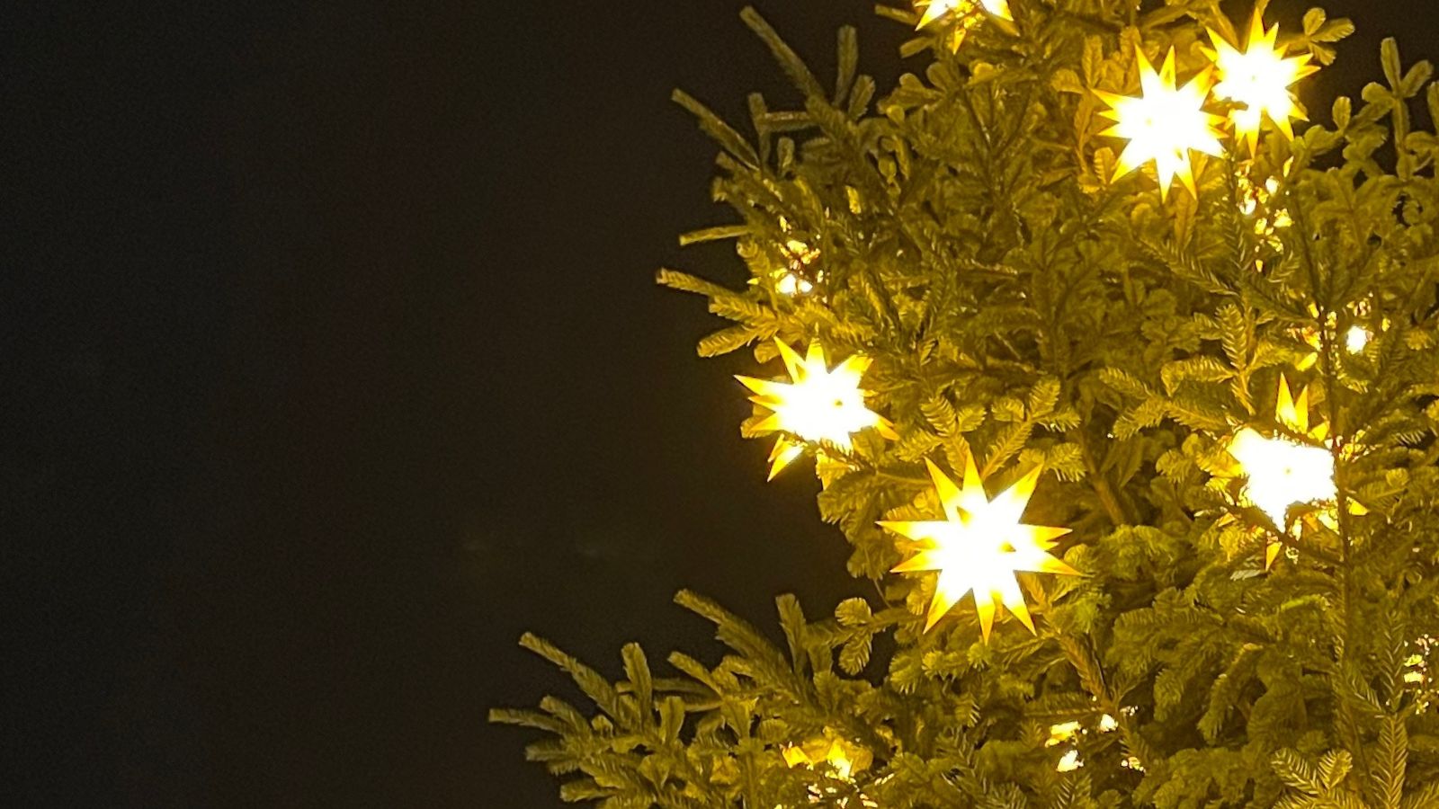 Baum mit Sternen