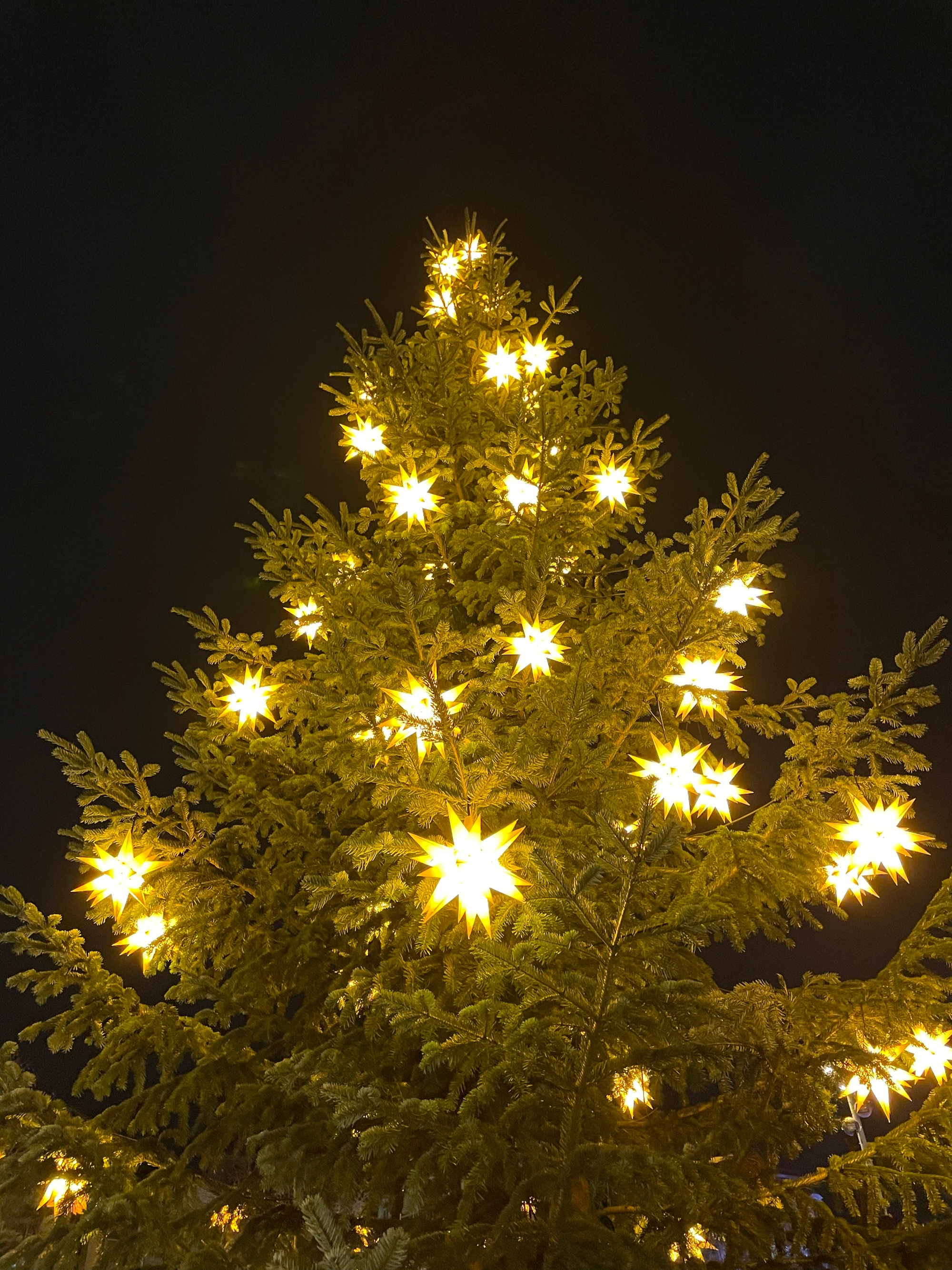 Christbaum