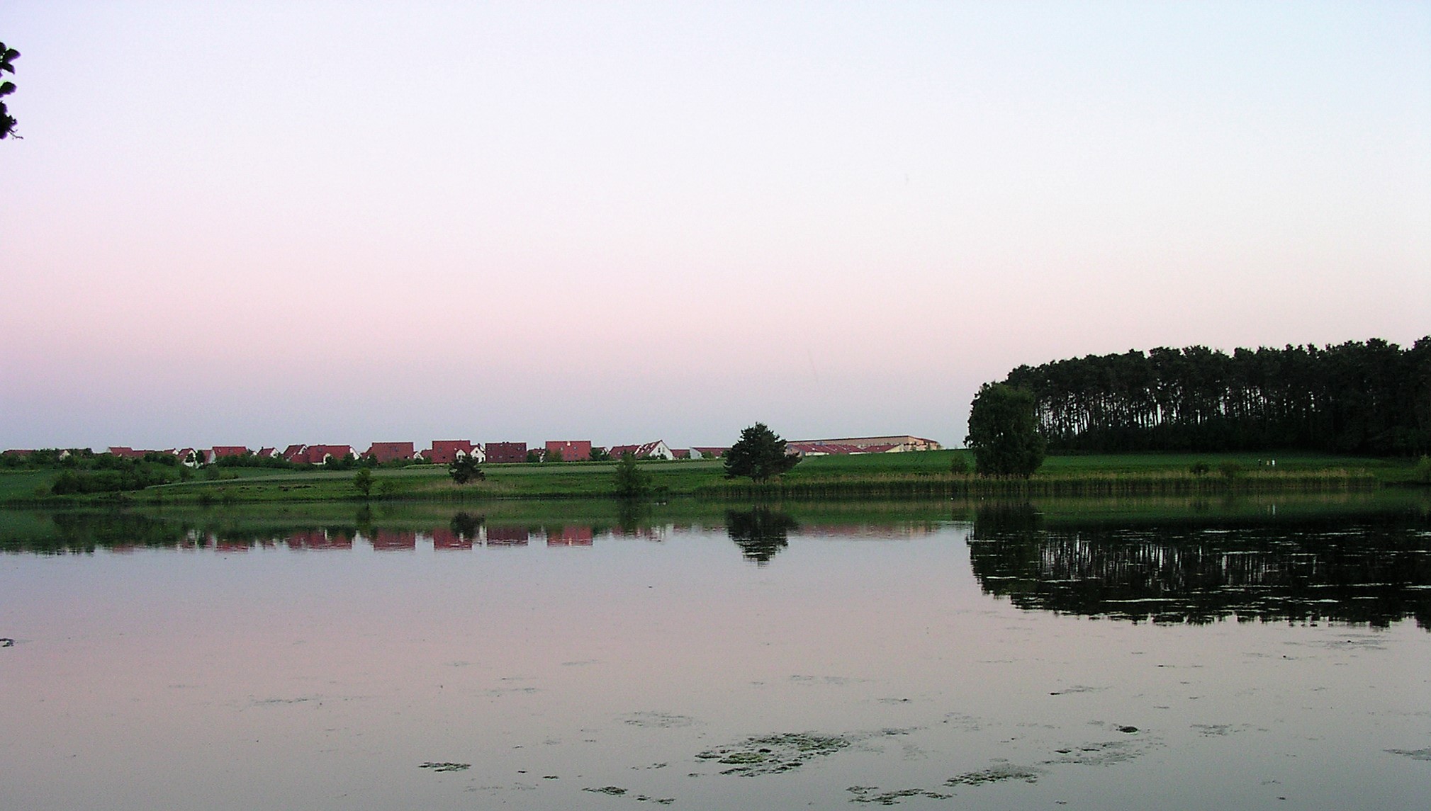 Dummetsweiher