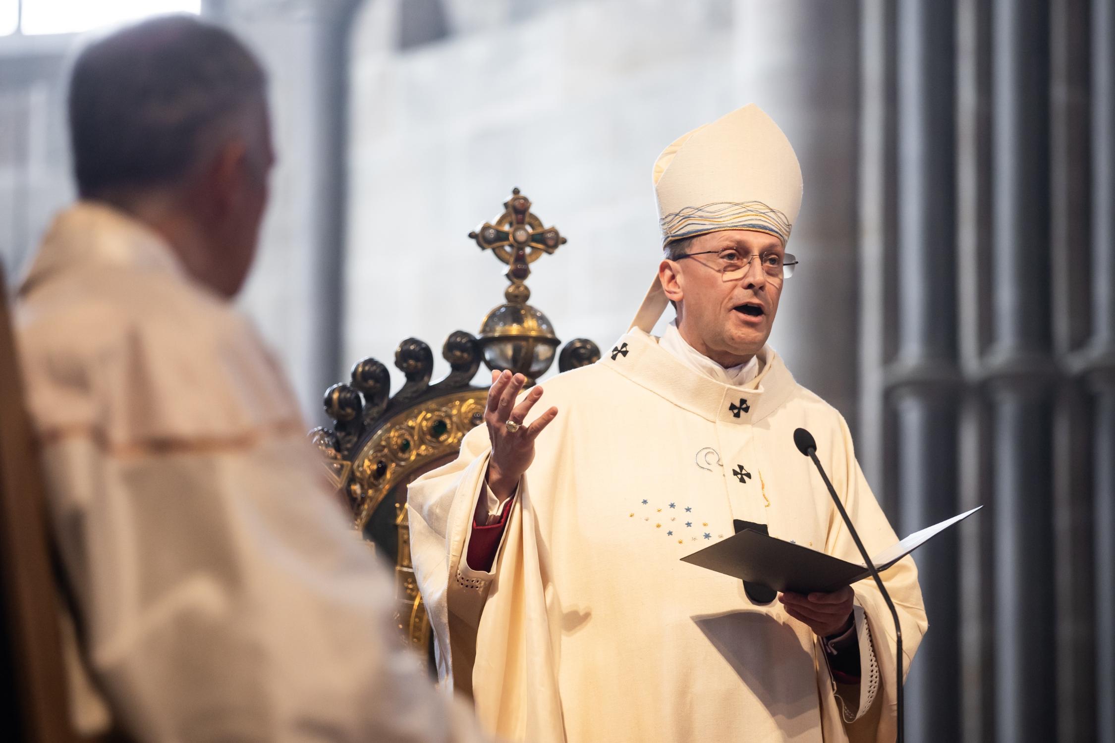 eb_pallium_1224.jpg