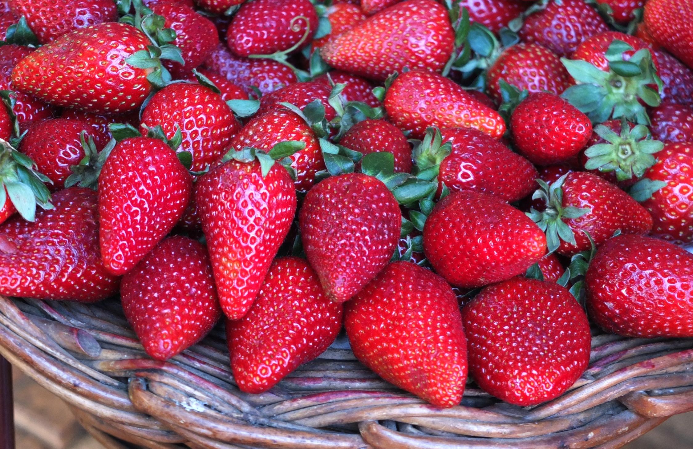 Frische Erdbeeren