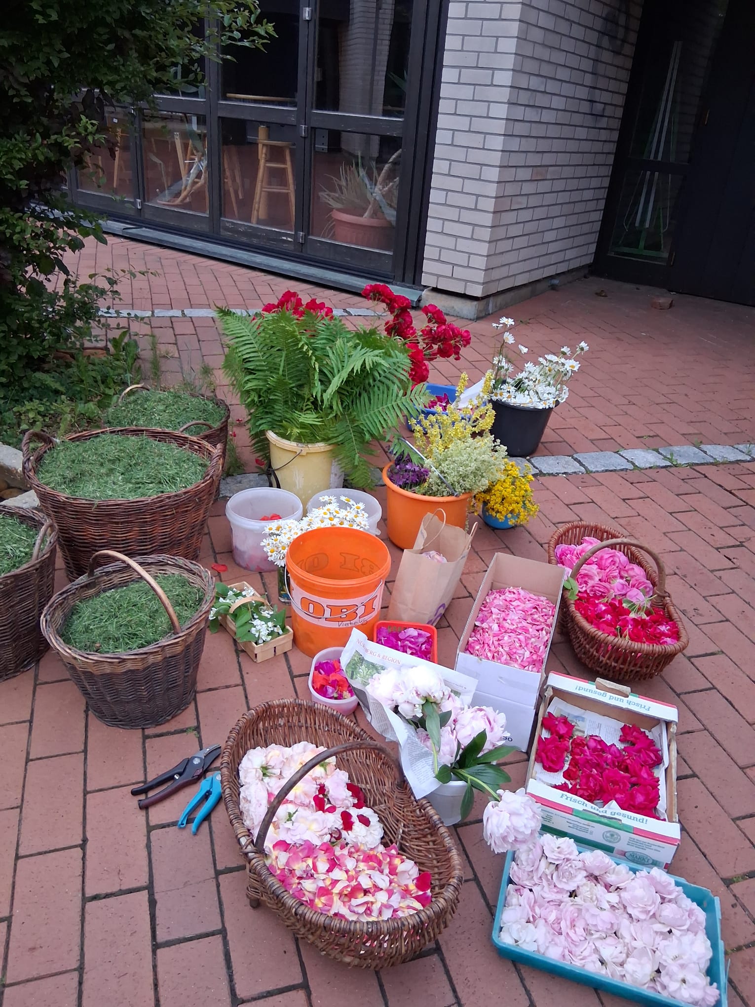 Fronleichnam Blumenteppich 2026