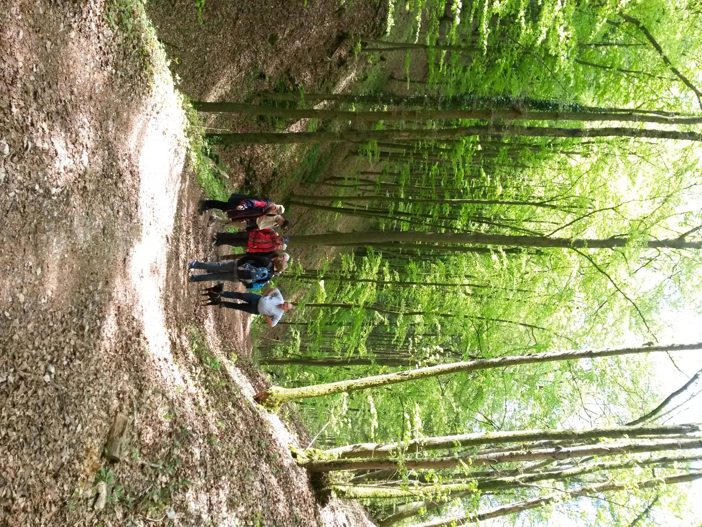 Frühjahrswanderung 2016