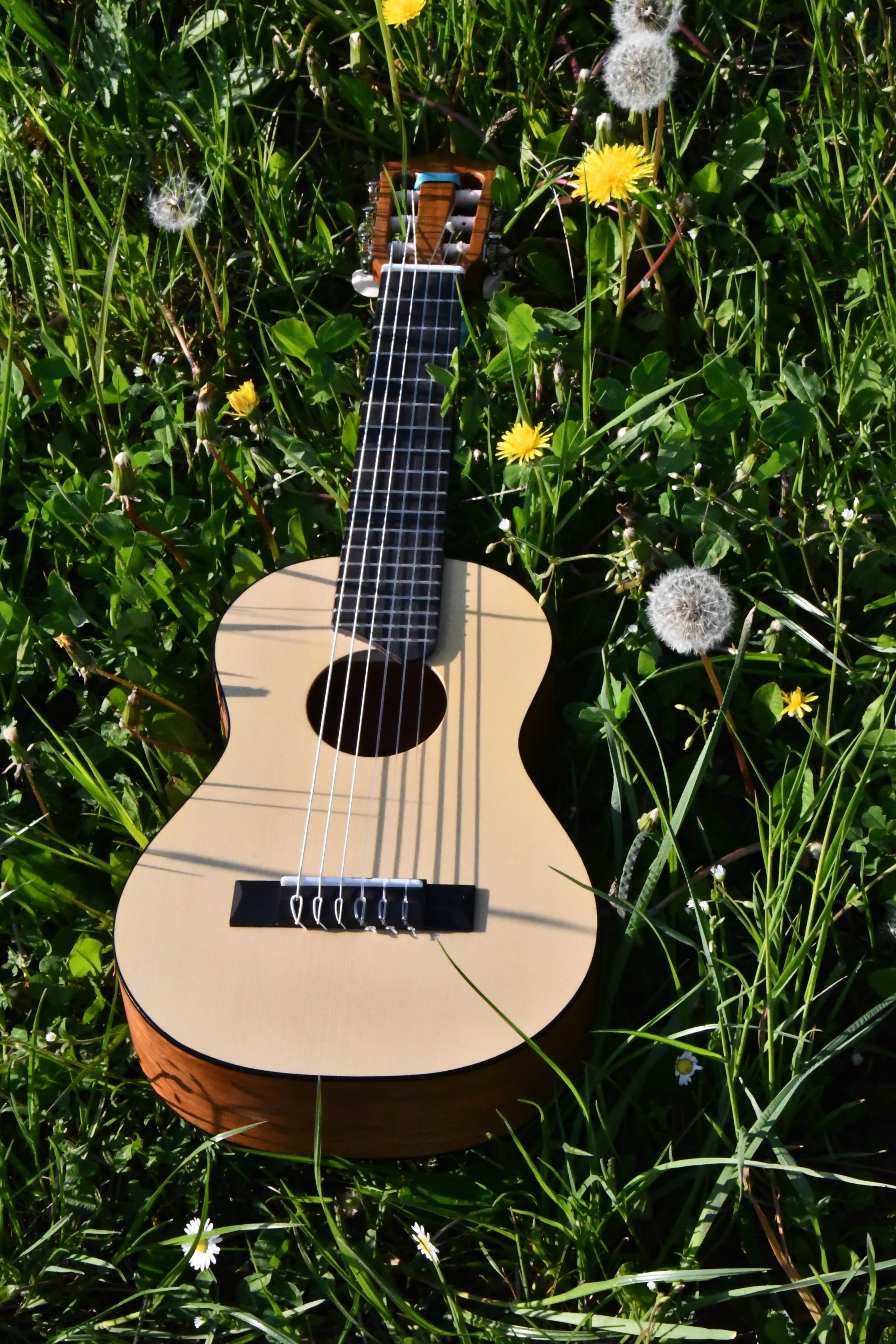 Gitarre