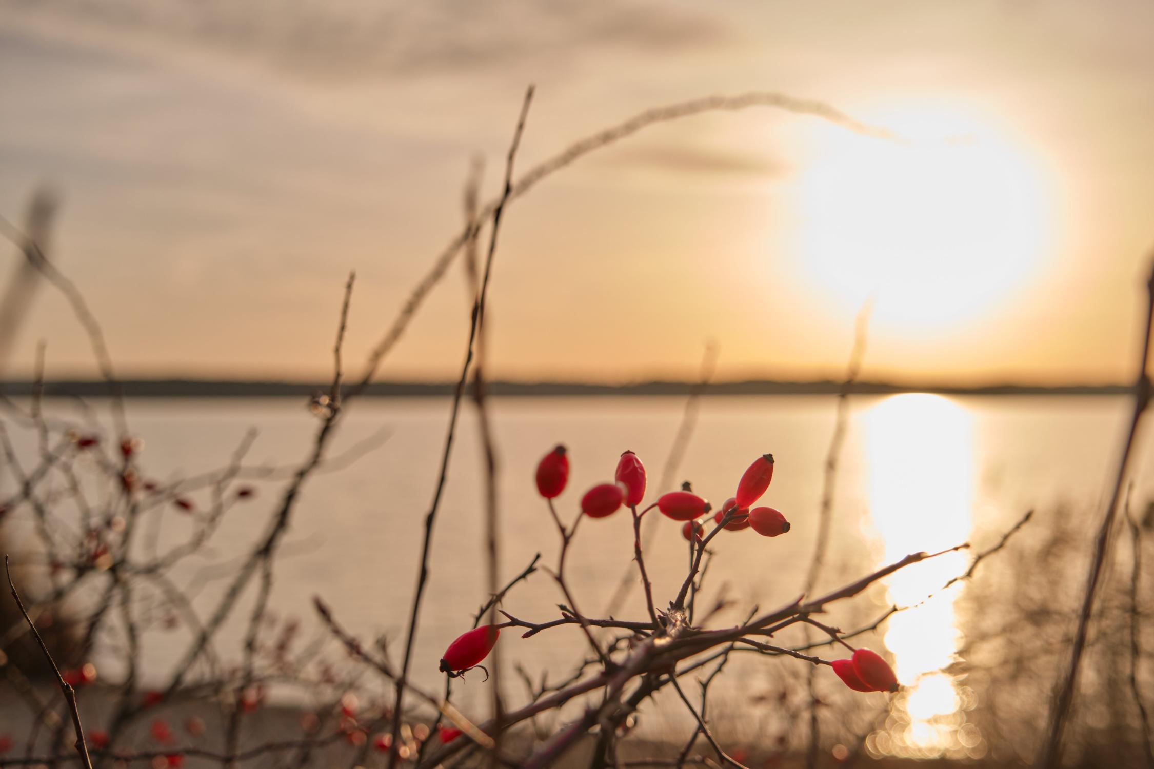 Herbstabend am See