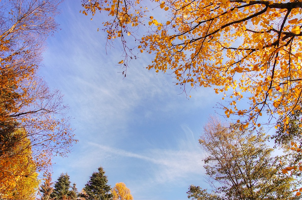 Herbstwanderung
