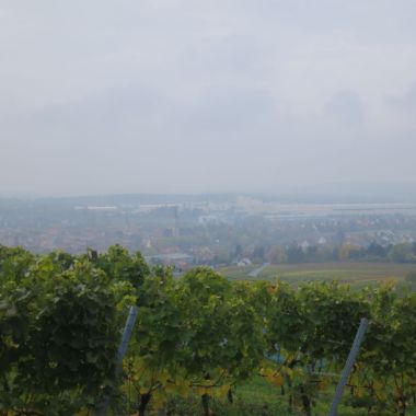 Herbstwanderung 2015