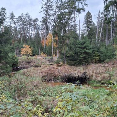Herbstwanderung 2025