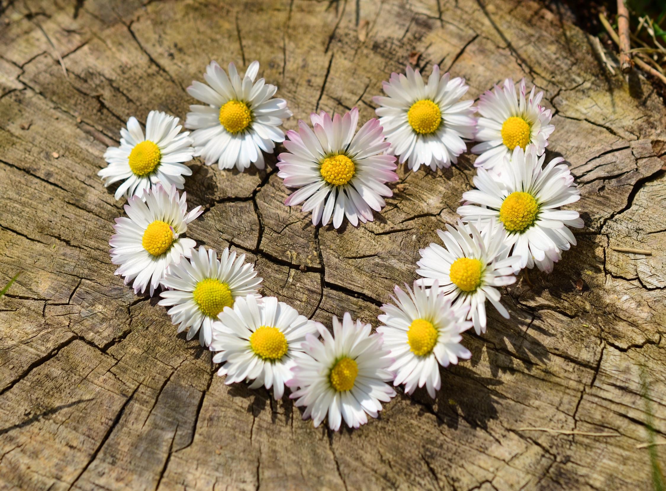 Herz aus Blüten