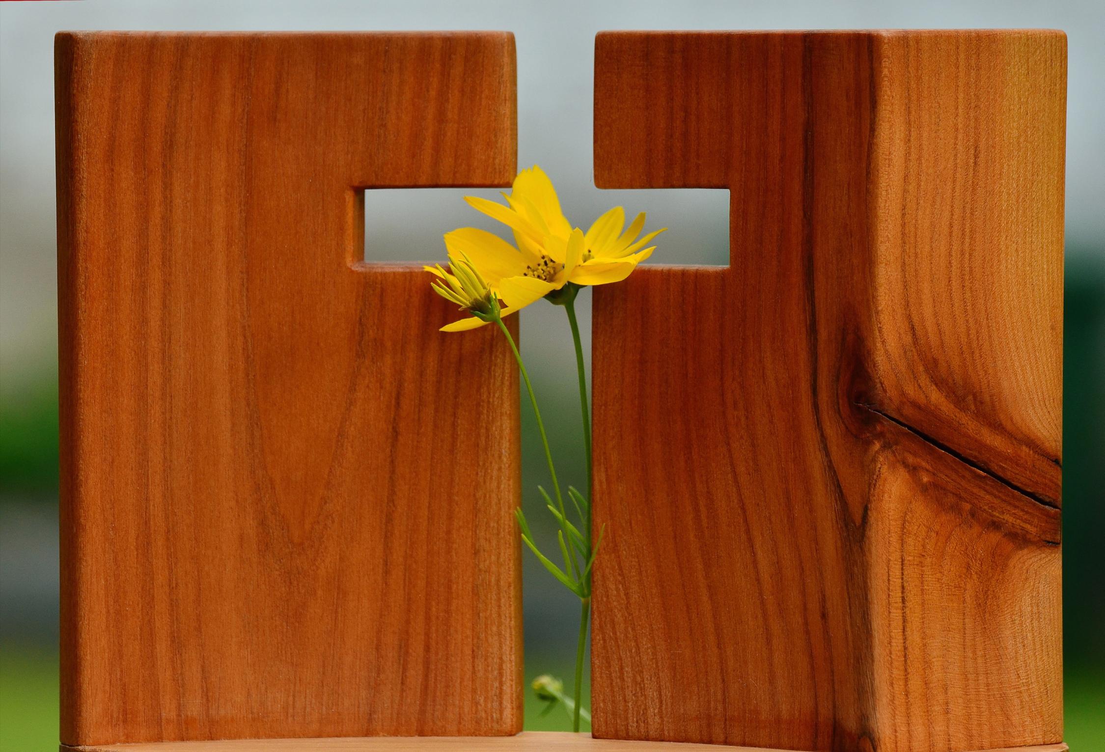 Im Kreuz ist Auferstehung
