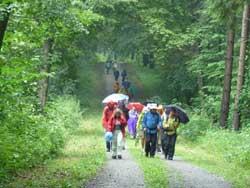 Jakobsweg 2010