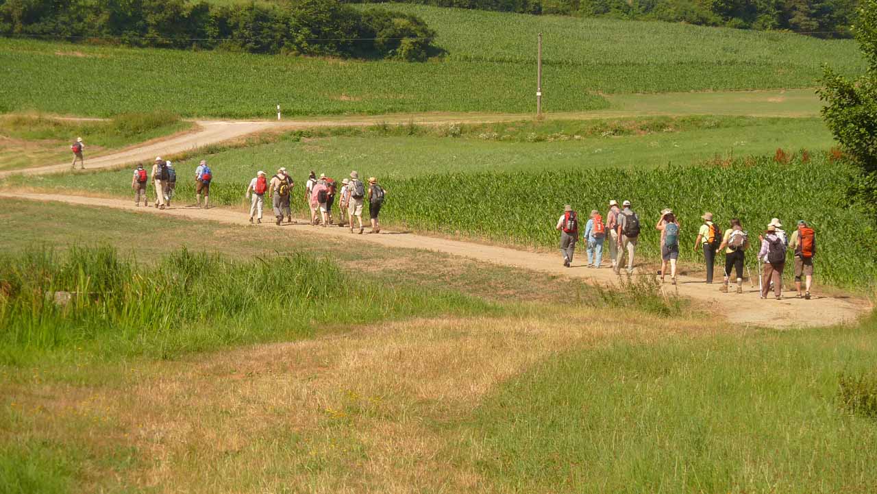 Jakobsweg 2013