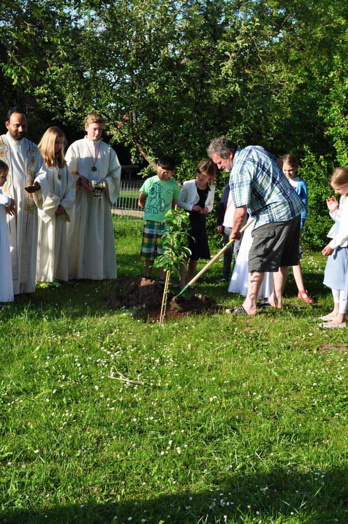 Kommunionkinder pflanzen Apfelbaum