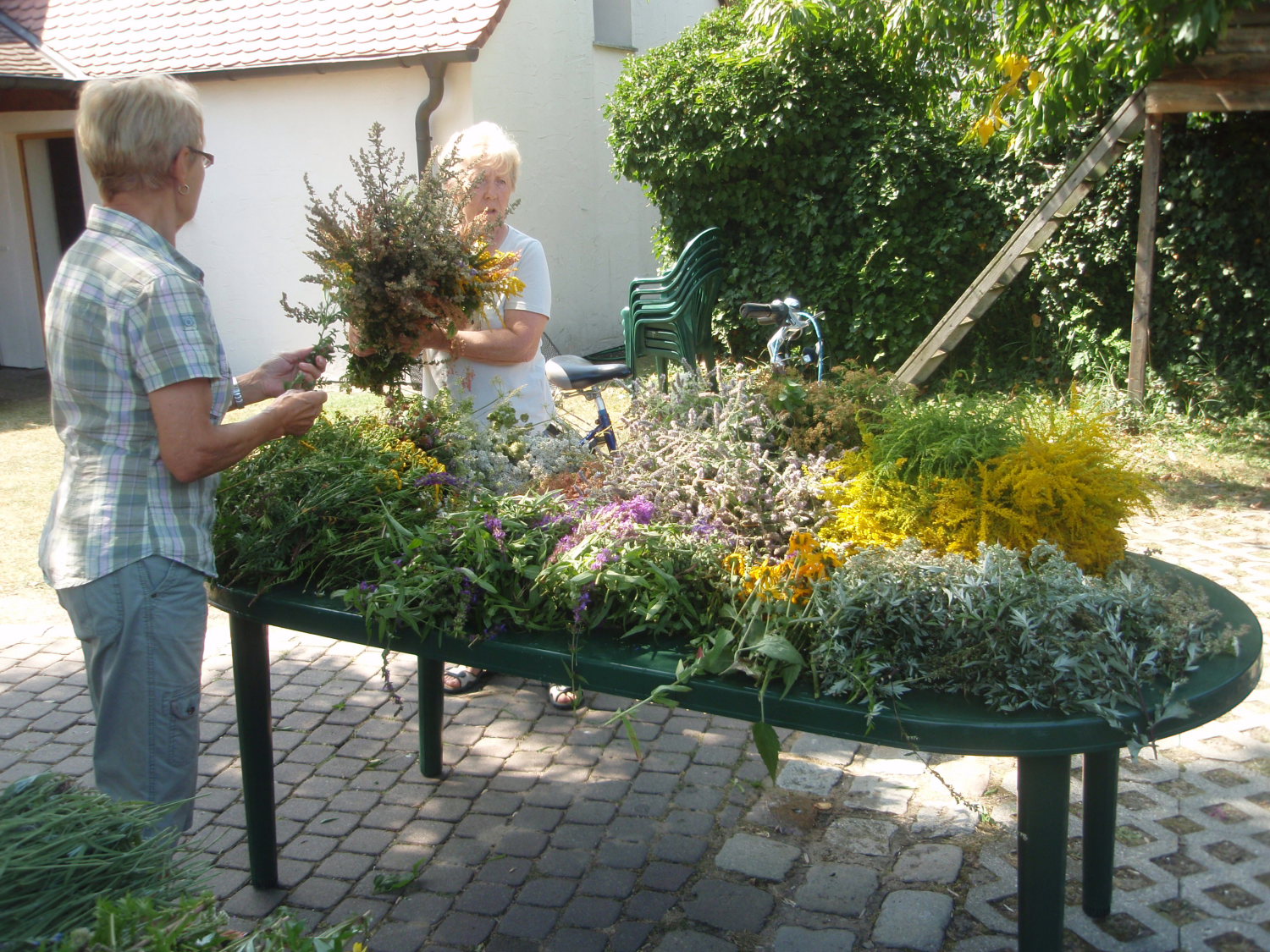 Kräutersträuße binden
