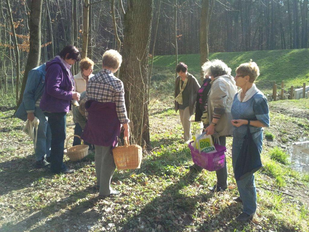 Kräuterwanderung KDFB