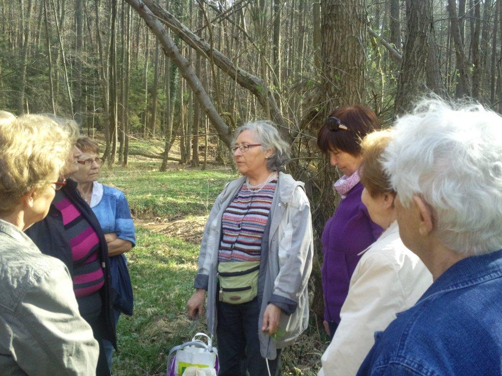 Kräuterwanderung KDFB