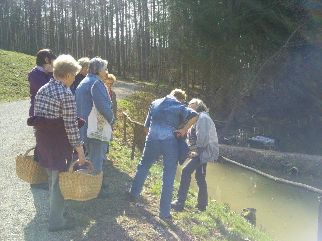 Kräuterwanderung KDFB