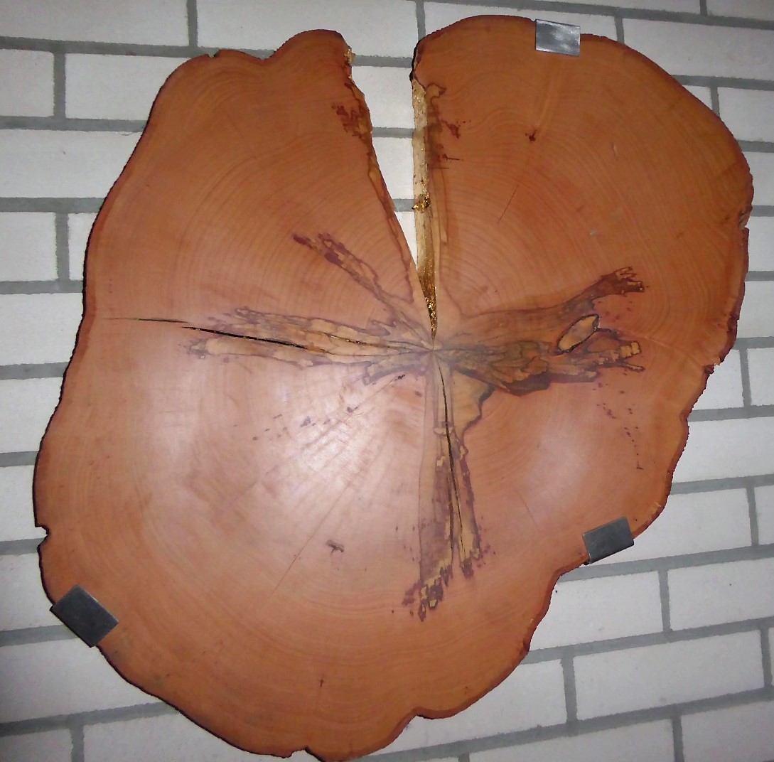 Kreuz