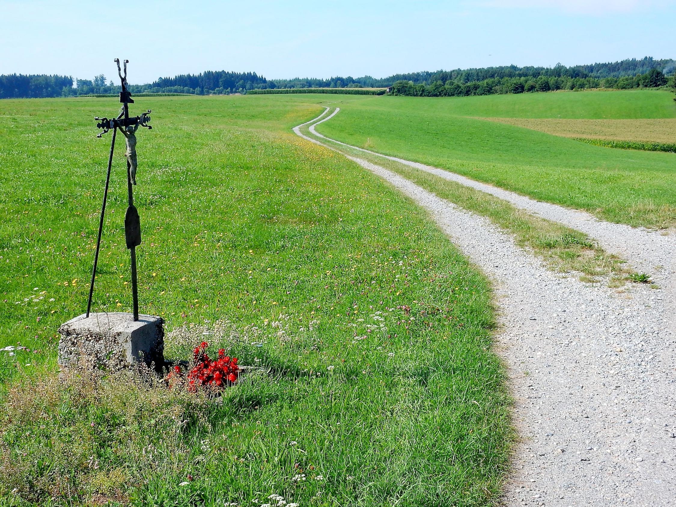 Landschaft