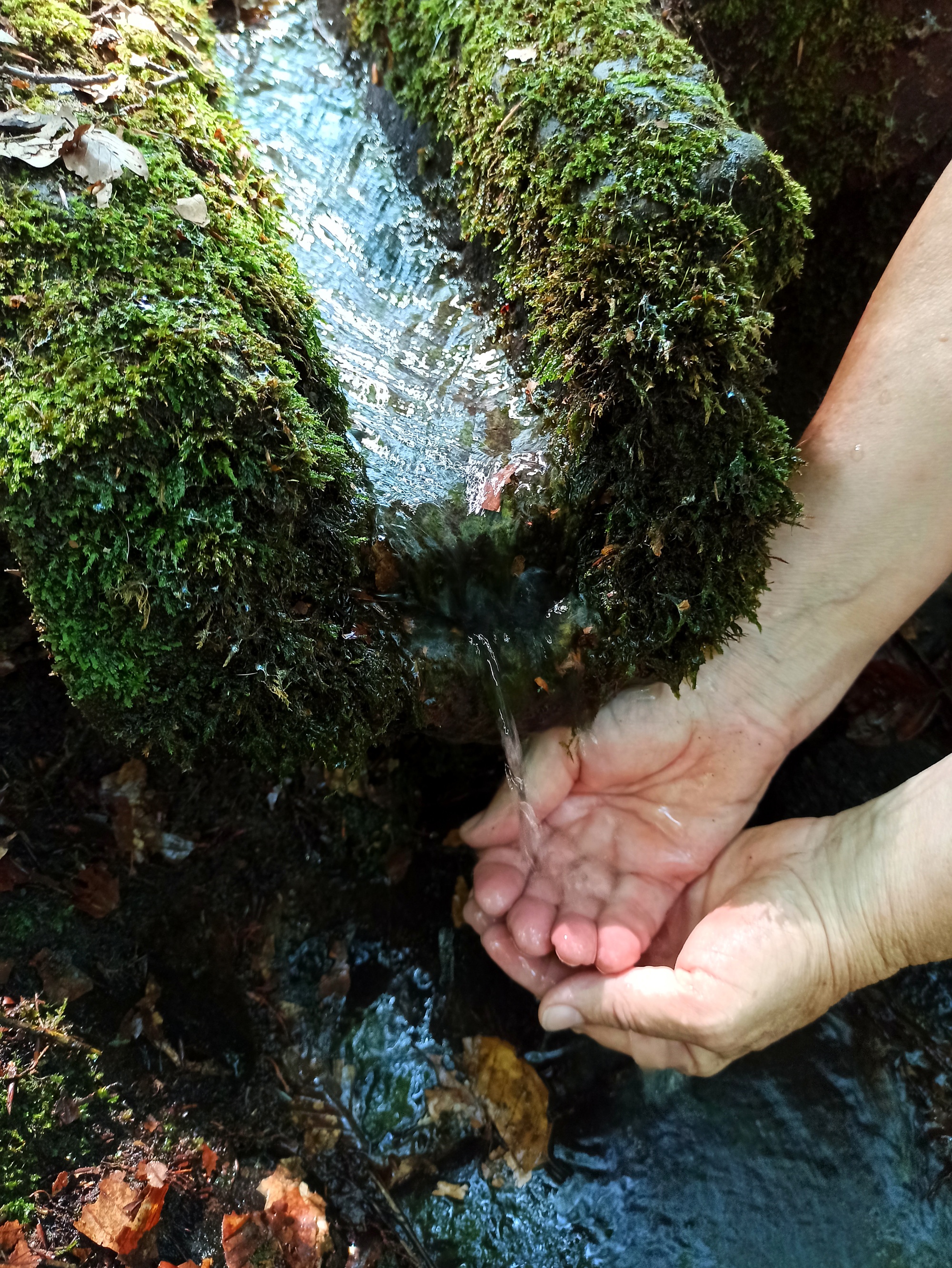 Lebendiges Wasser