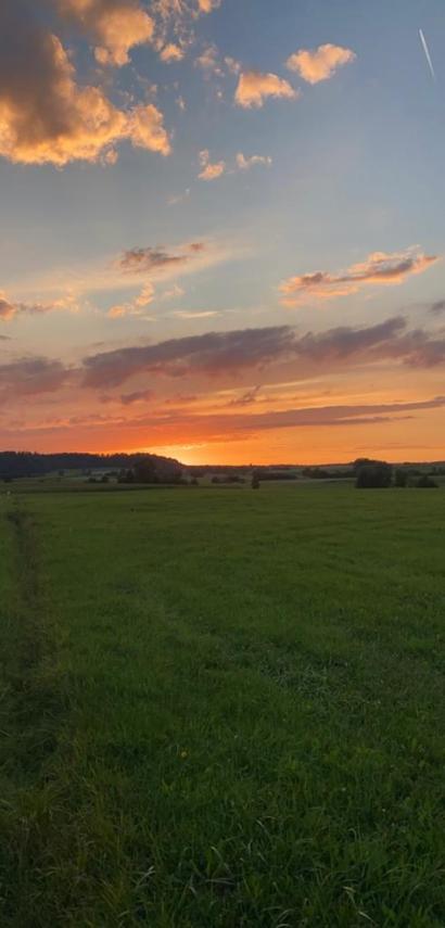 Naturbild - Sonnenuntergang