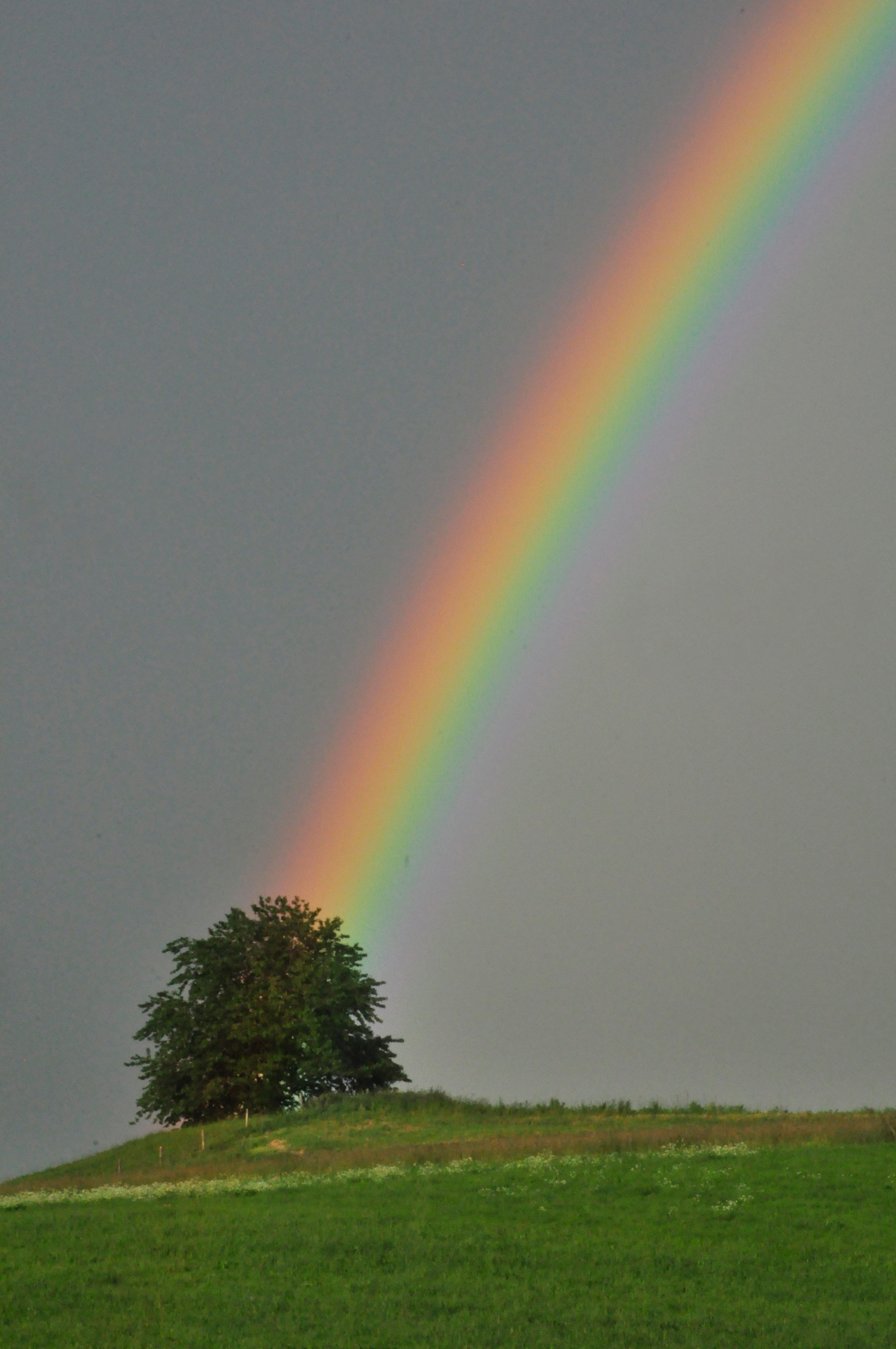 Regenbogen