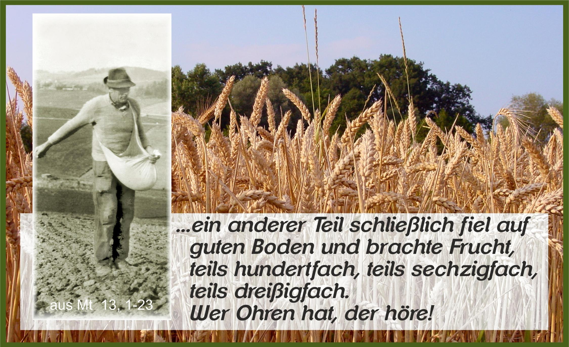 Säen