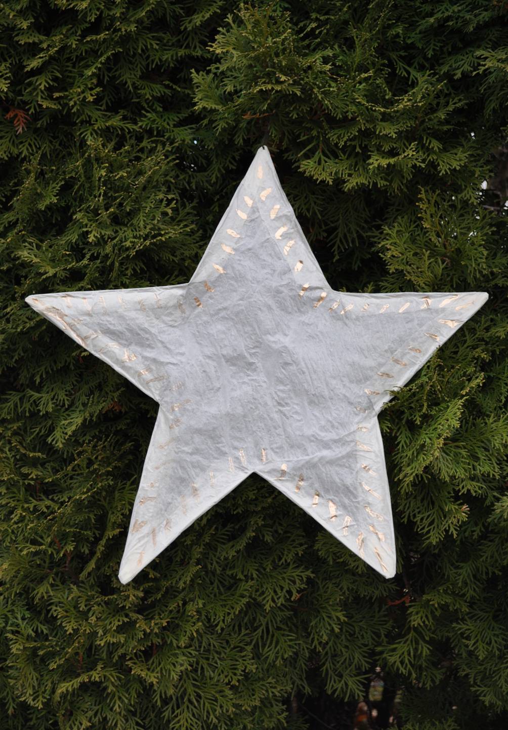 Stern - Gottesdienst unterm Adventskranz
