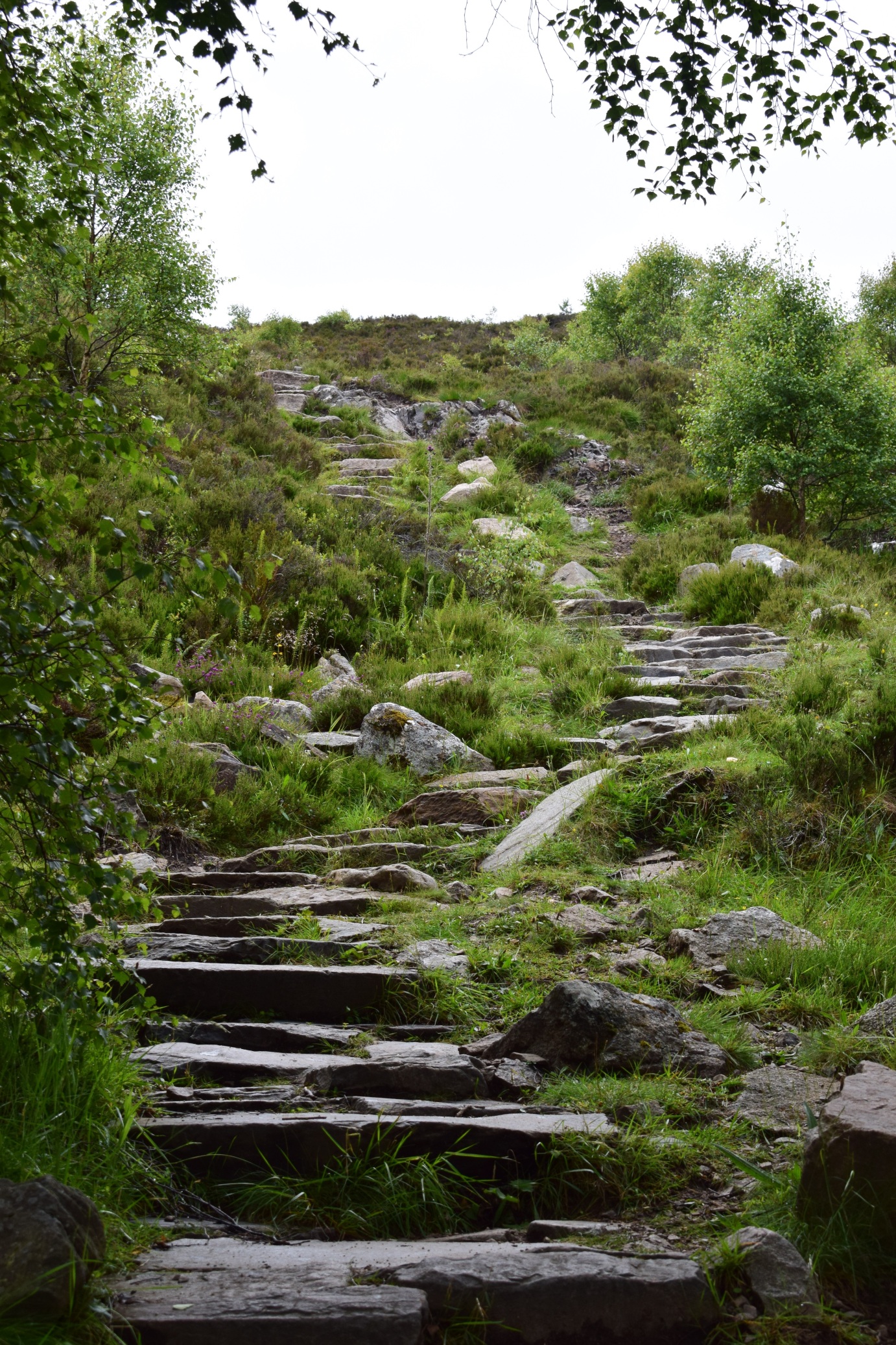 Treppe