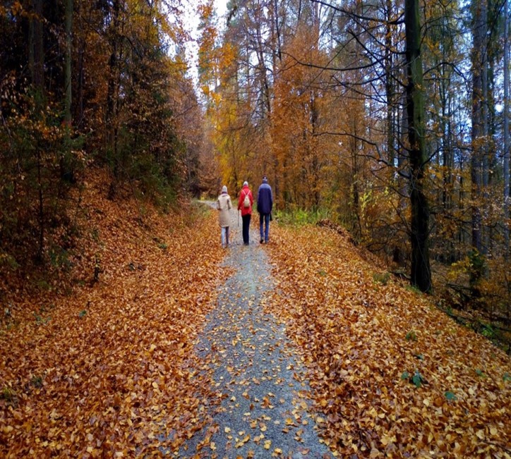 Waldspaziergang