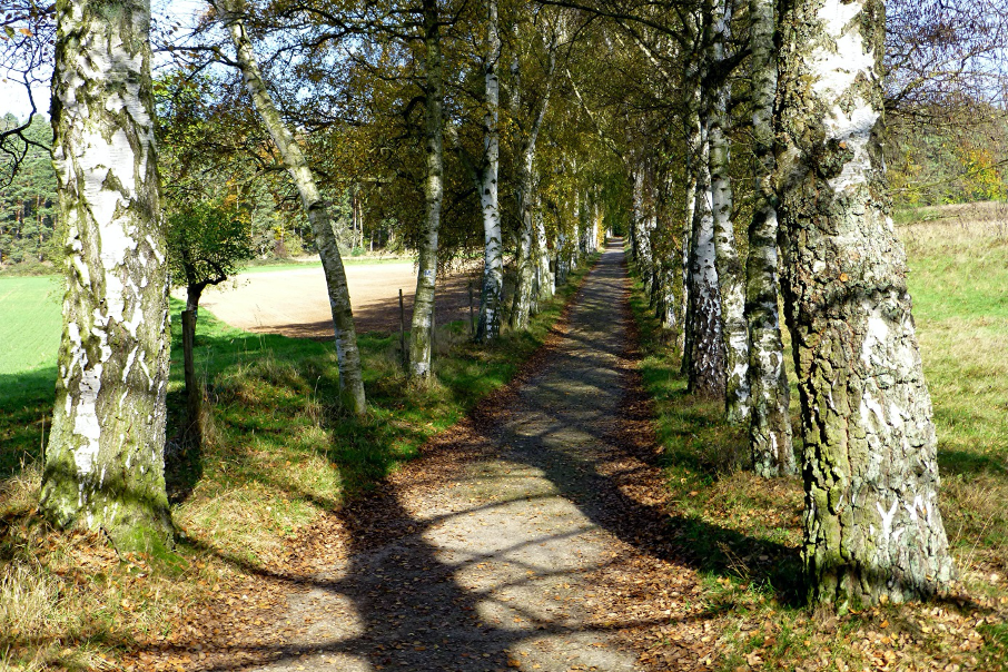 Wallfahrt