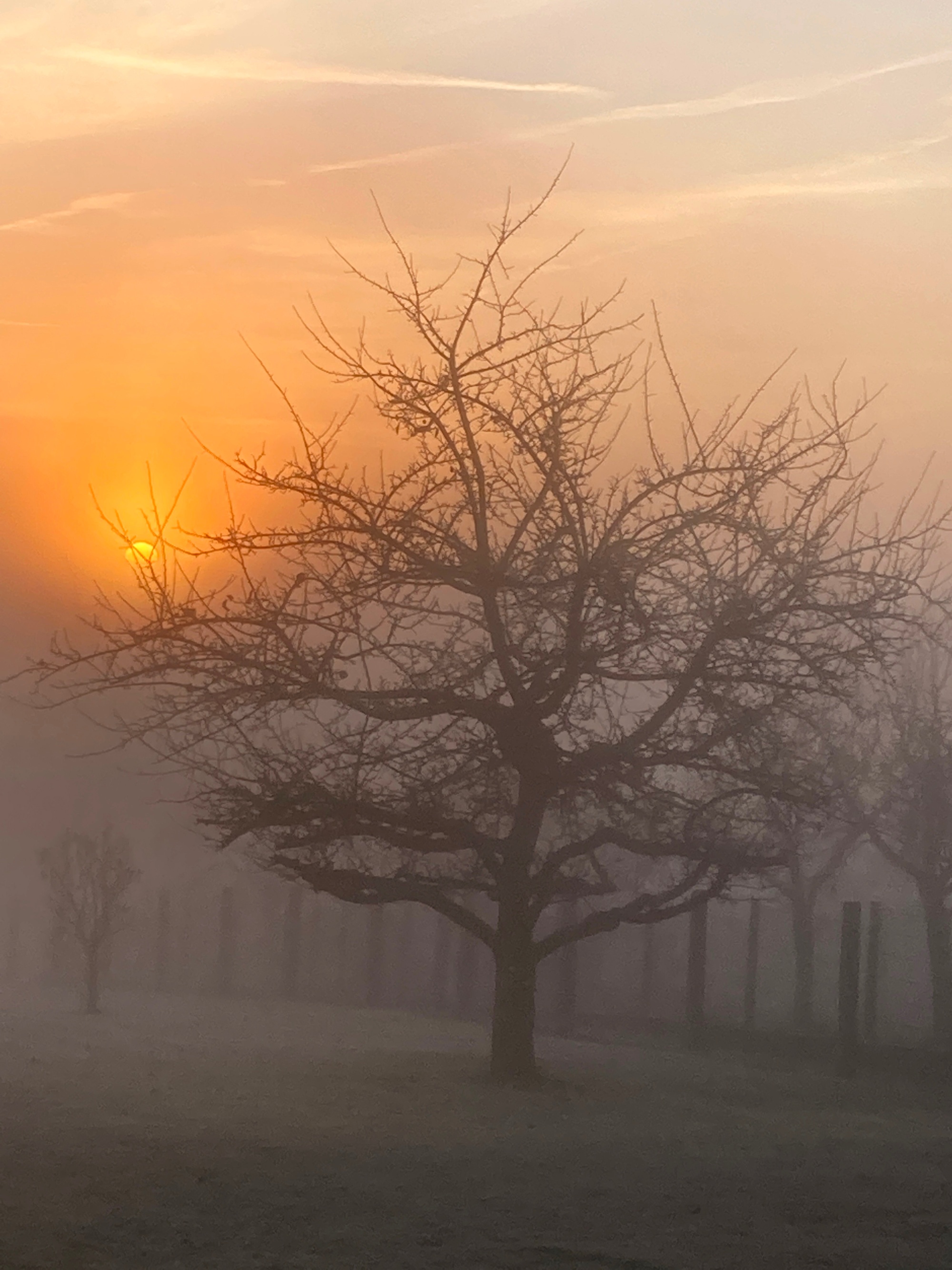 Wecken will ich die Morgenröte (nach Psalm 57)