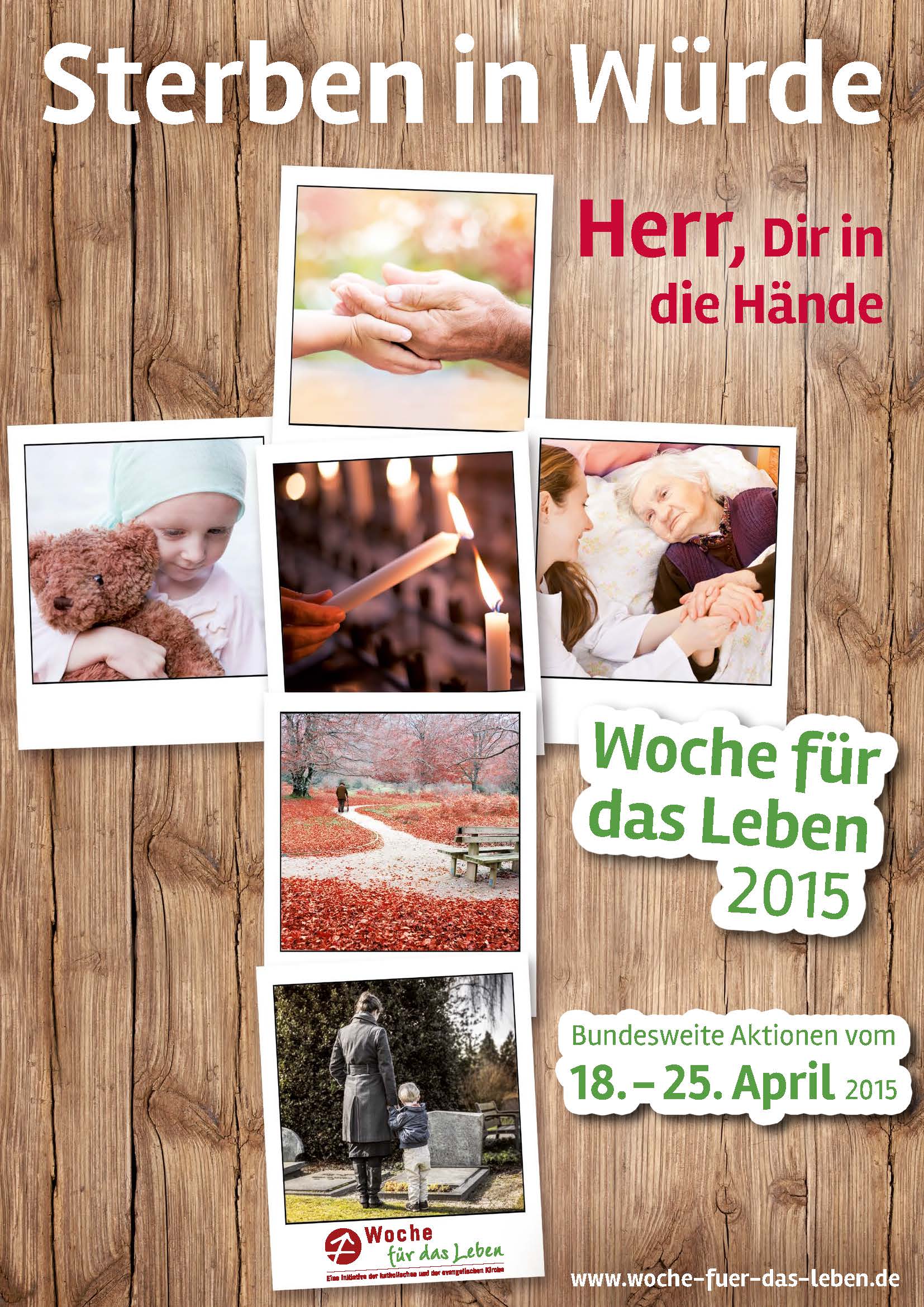 WfdL 2015 Plakat