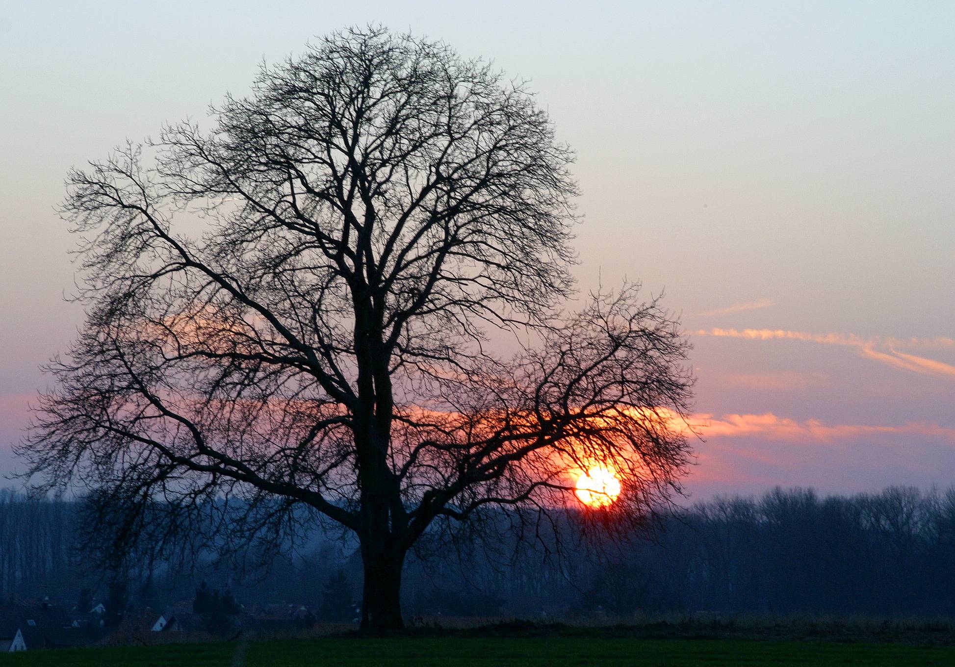 Winterliche Abendstimmung