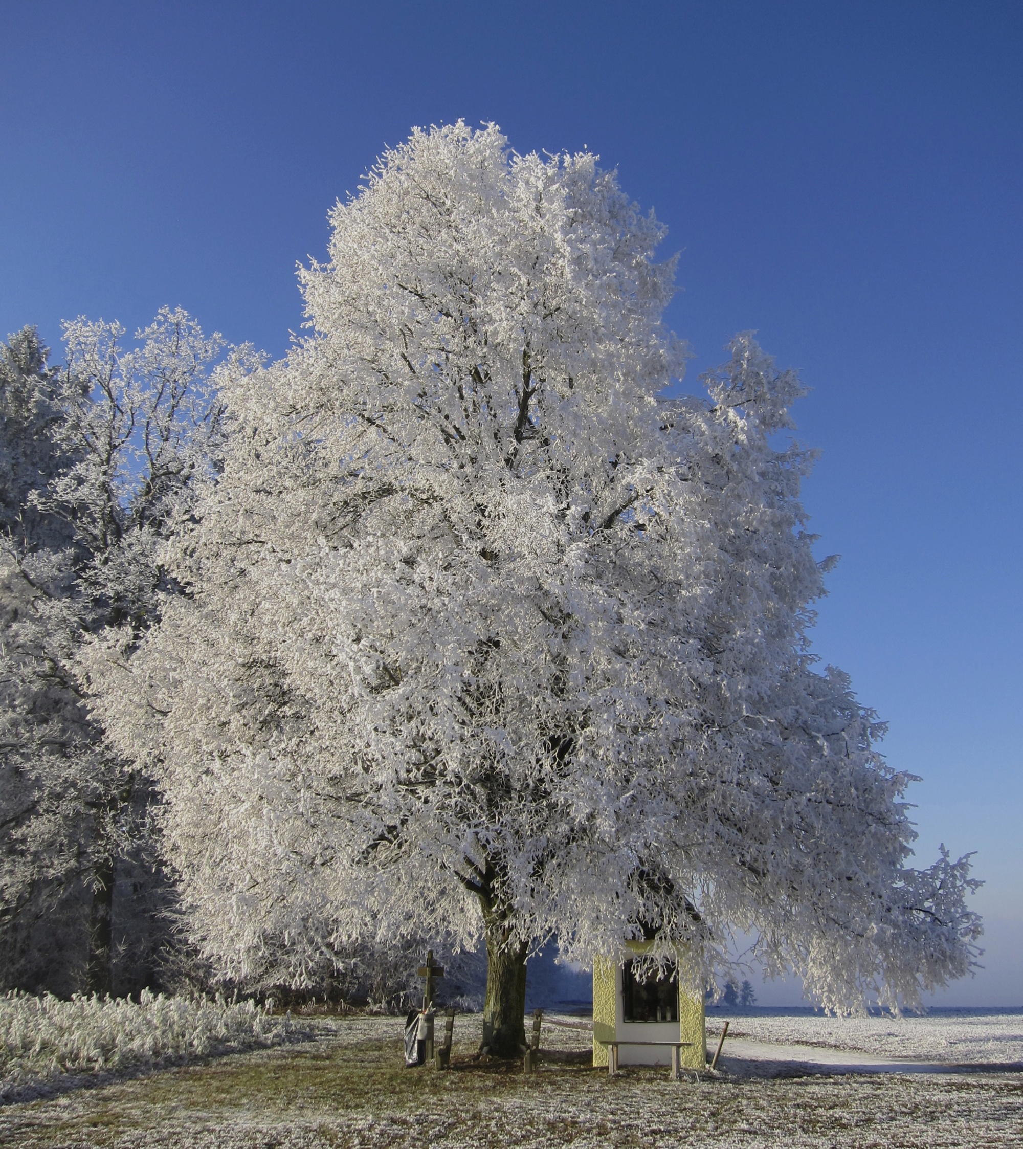 Winterwanderung